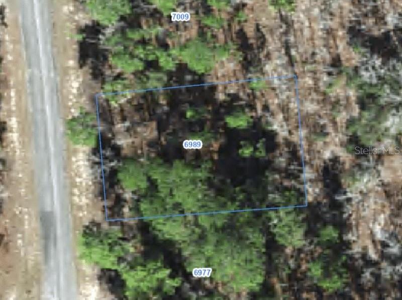 6989 N Foxdale Dr Property Photo 1
