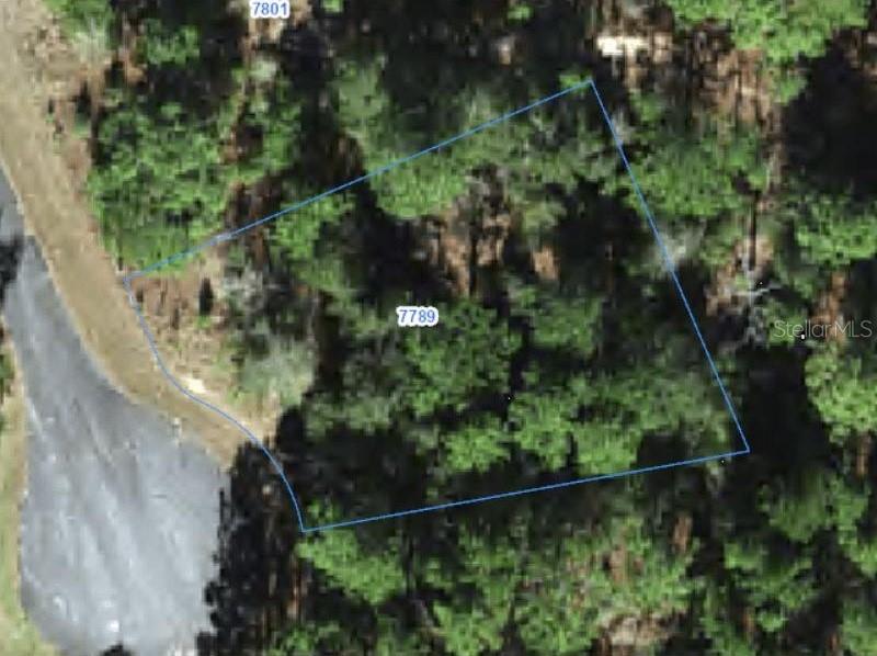7789 N WANDA PT Property Photo 1