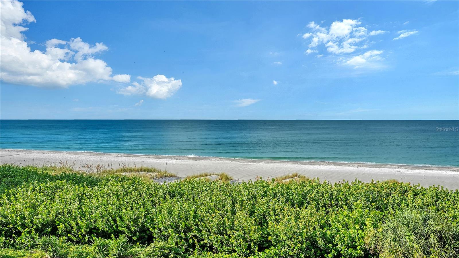 4525 Gulf Of Mexico Dr #204 Property Photo 19