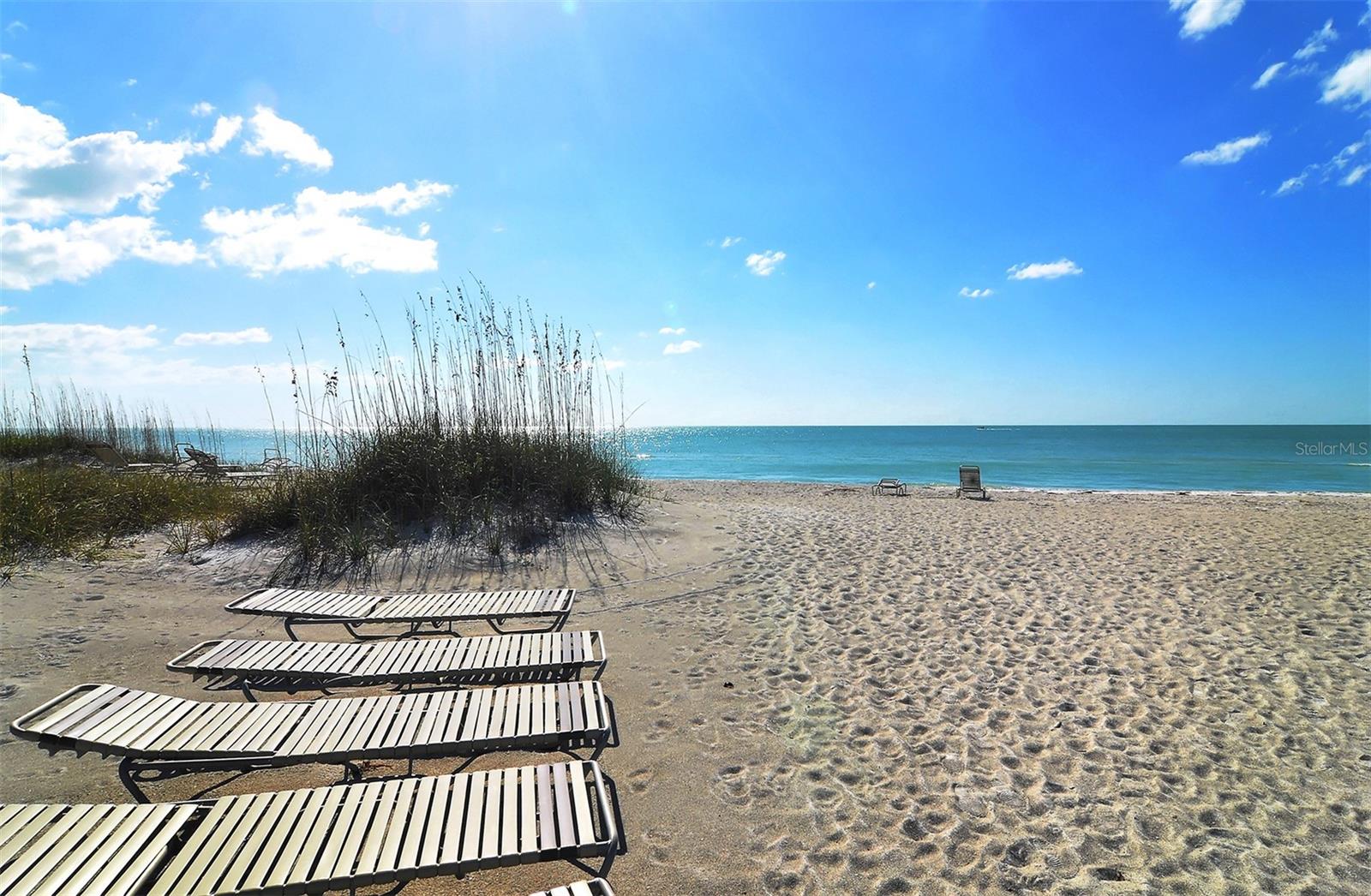 4525 Gulf Of Mexico Dr #204 Property Photo 37