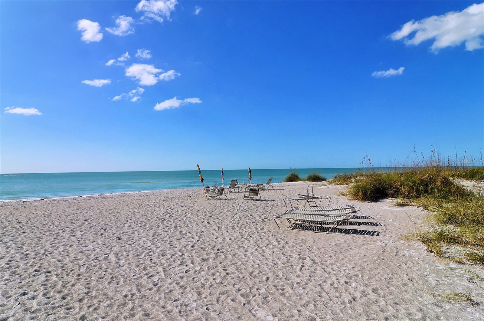 4525 Gulf Of Mexico Dr #204 Property Photo 38