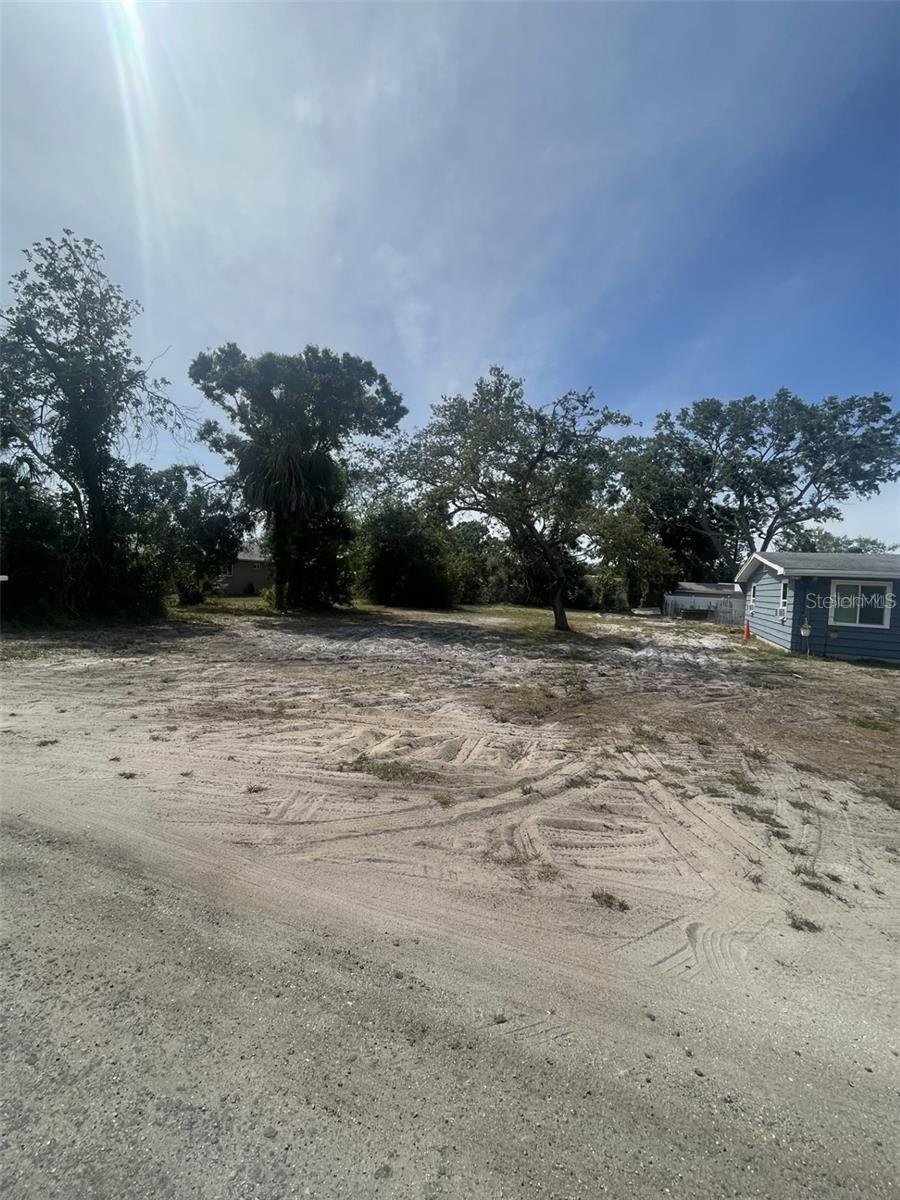 Jungle Way Property Photo 1