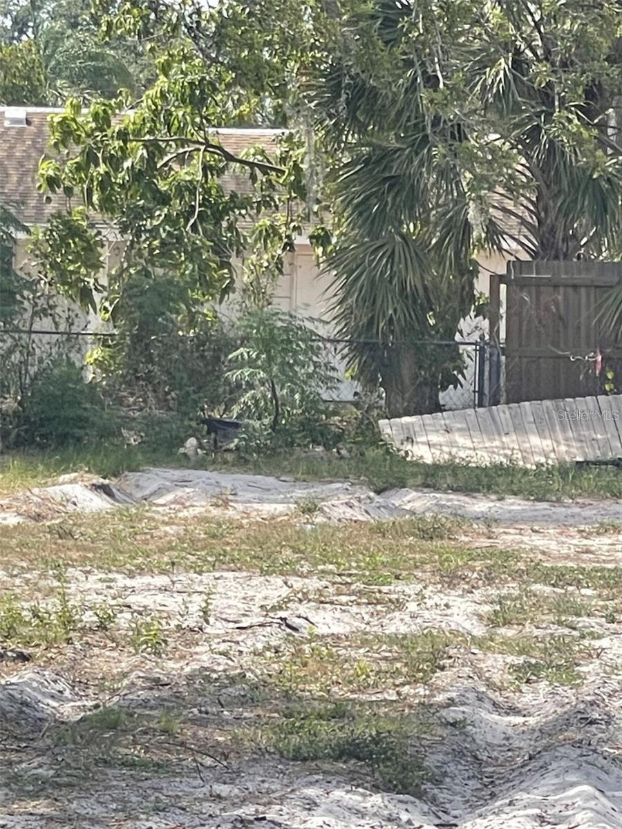 Jungle Way Property Photo 2