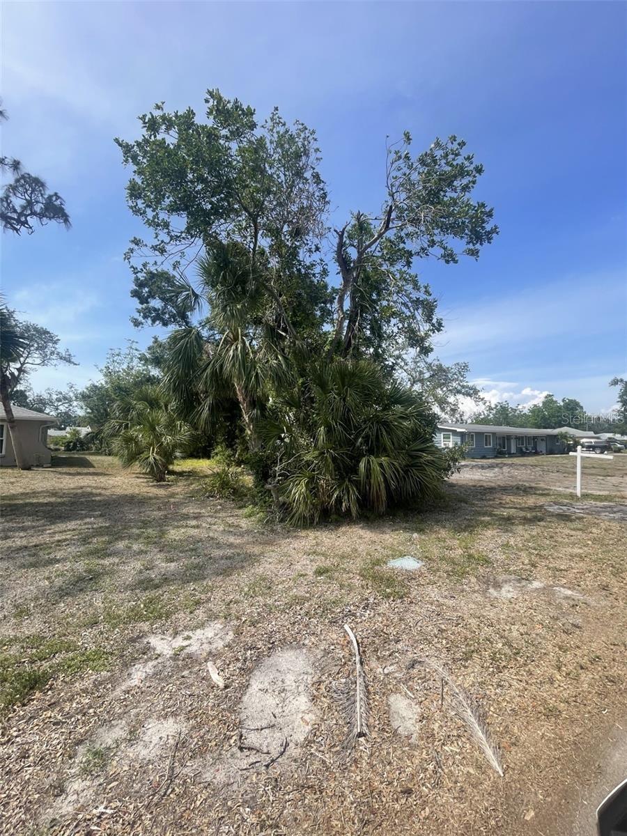 Jungle Way Property Photo 3