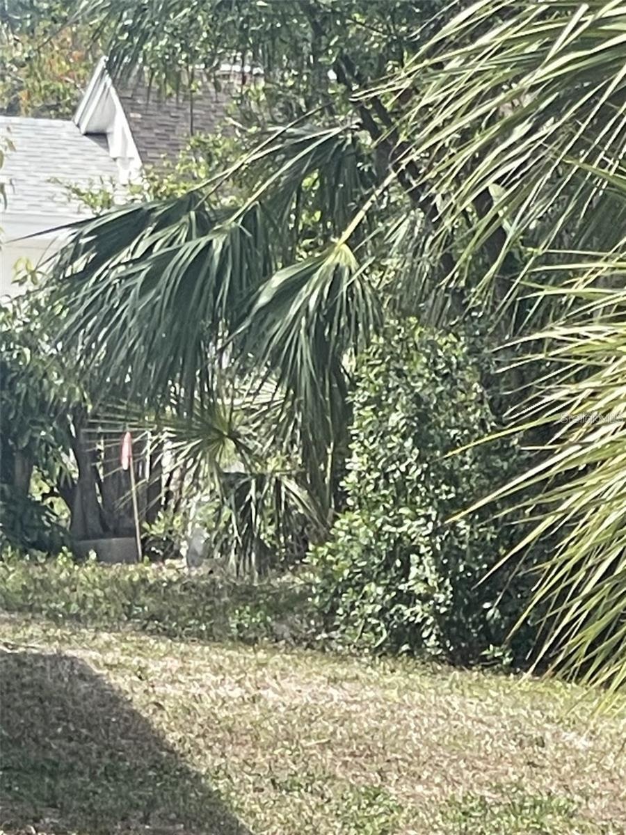 Jungle Way Property Photo 4