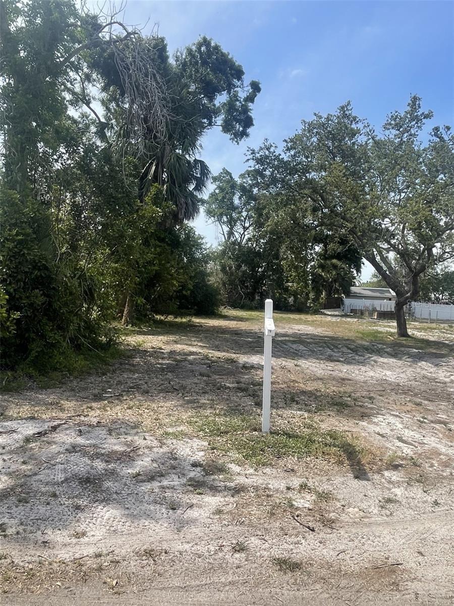 Jungle Way Property Photo 5