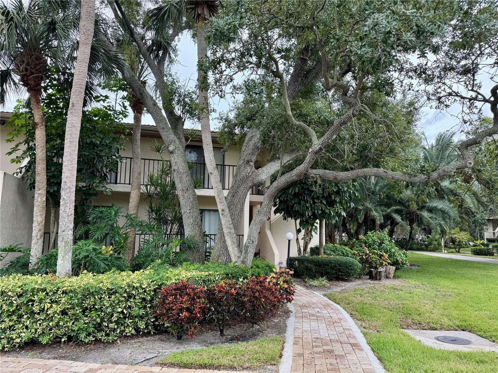 3450 WOOD OWL CIR #284 Property Photo 1