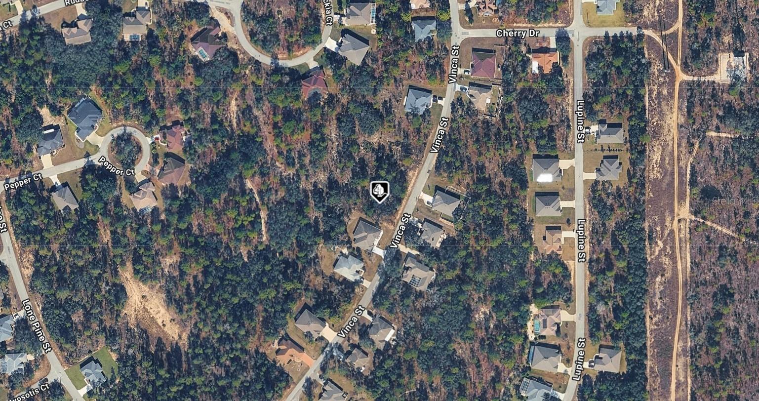 20 Vinca St Property Photo 2