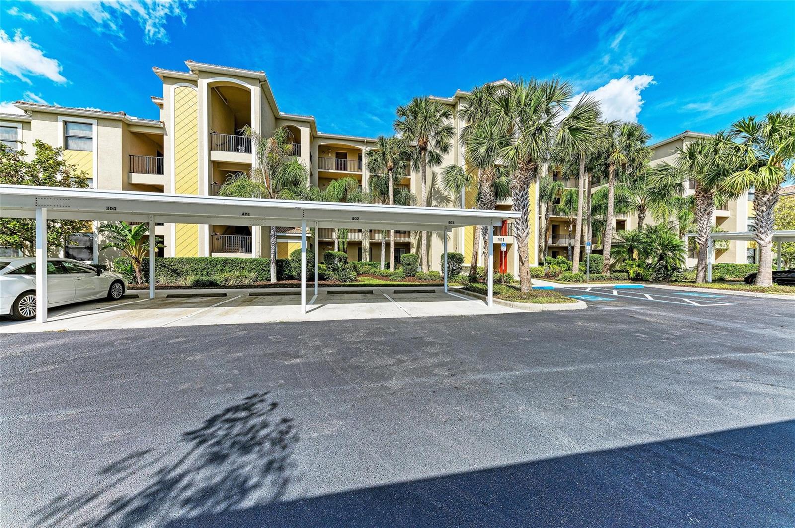 7019 River Hammock Dr #202 Property Photo 4