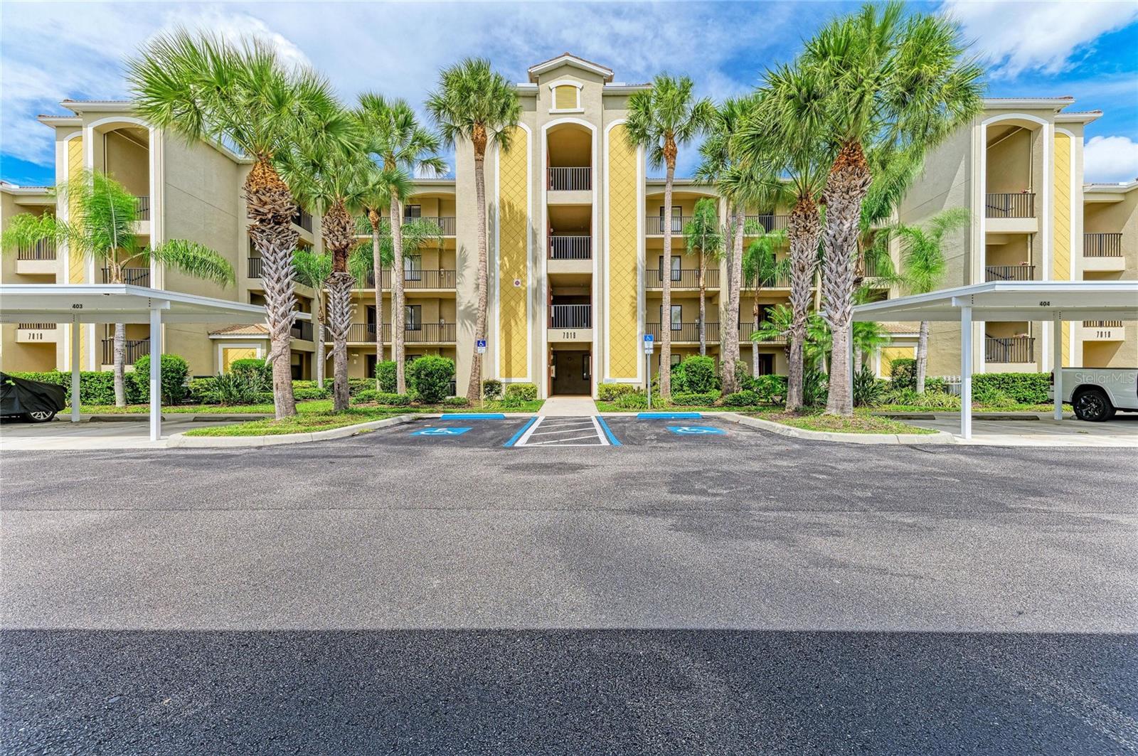 7019 River Hammock Dr #202 Property Photo 5