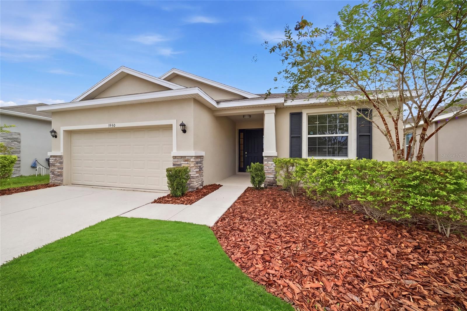 3940 Mossy Limb Ct Property Photo 1