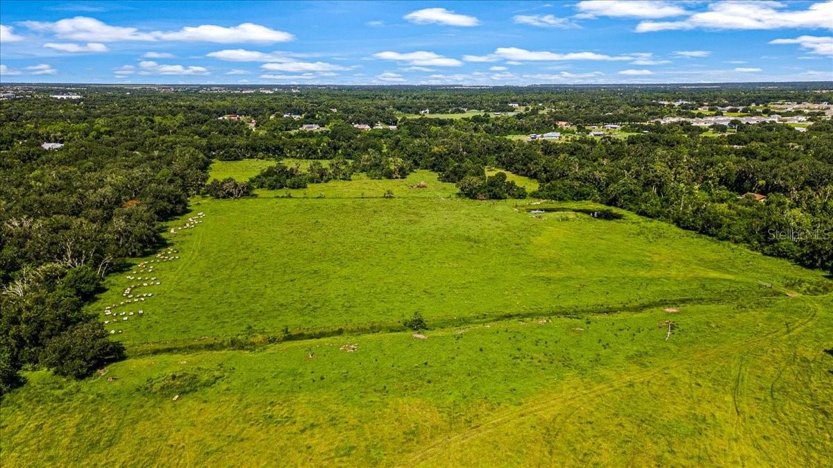 16996 Waterline Rd Property Photo 30