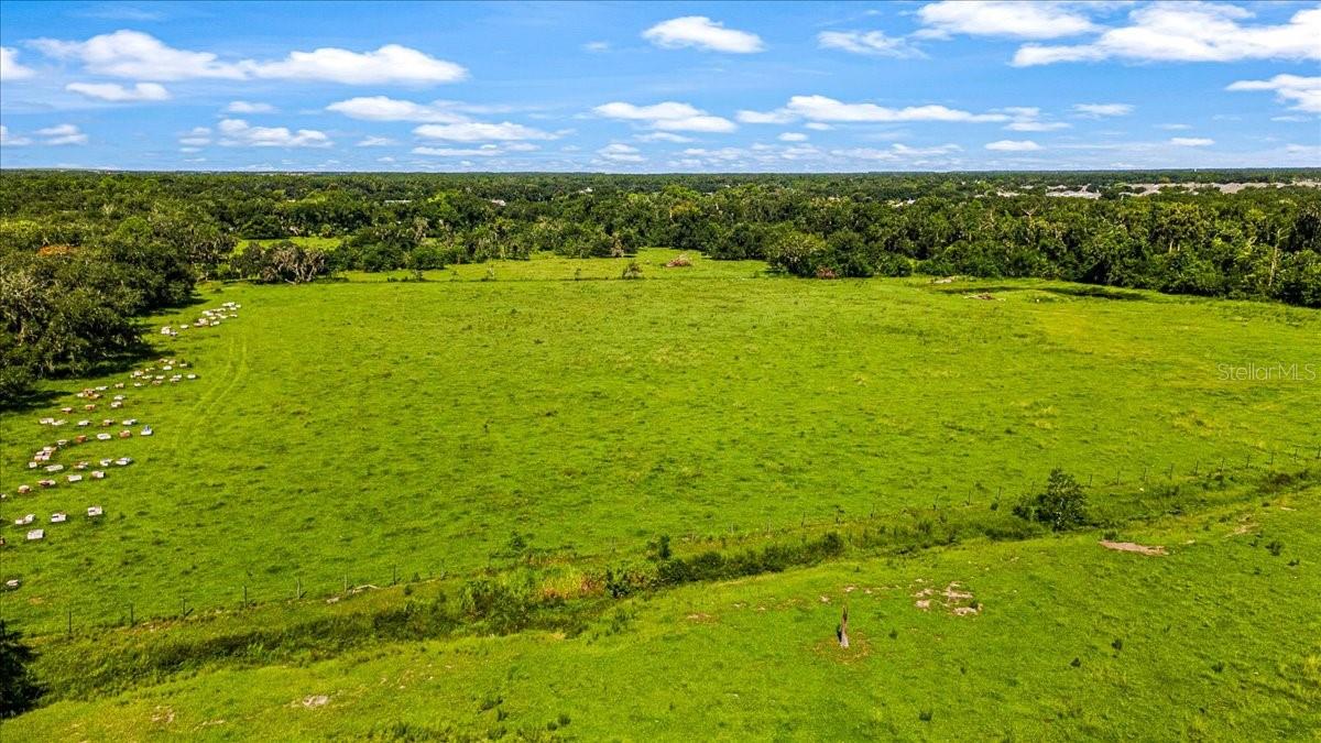 16996 Waterline Rd Property Photo 31