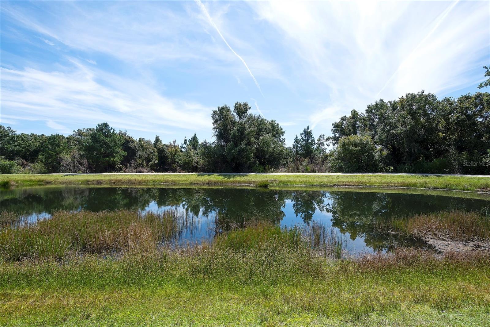 12207 Trailhead Dr Property Photo 38