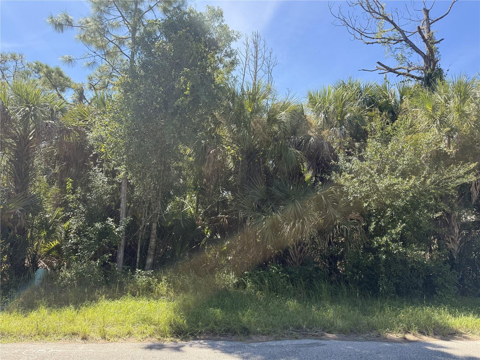 LOT 15 WALMSLEY AVE AVE Property Photo 1