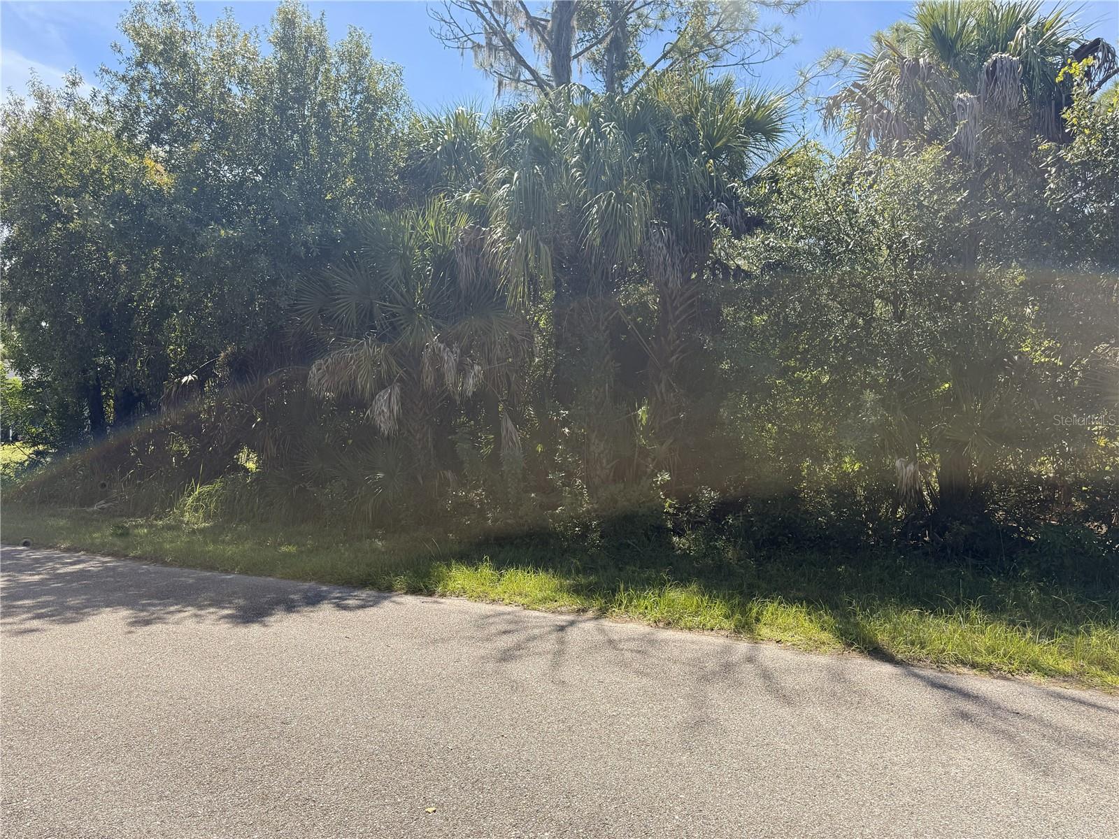 Lot 16 Walmsley Ave Property Photo 2