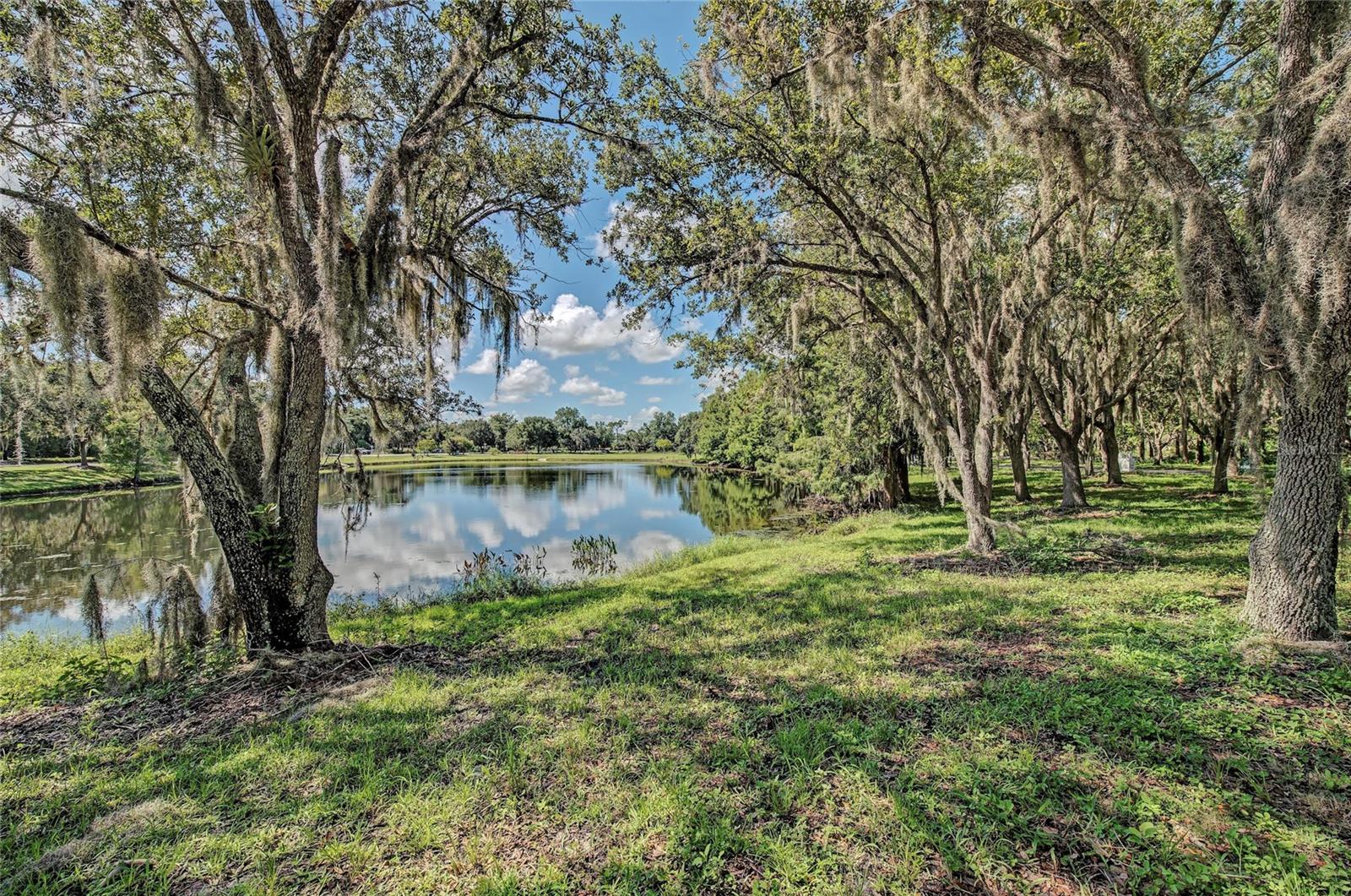 9420 Royal Calcutta Pl Property Photo 81
