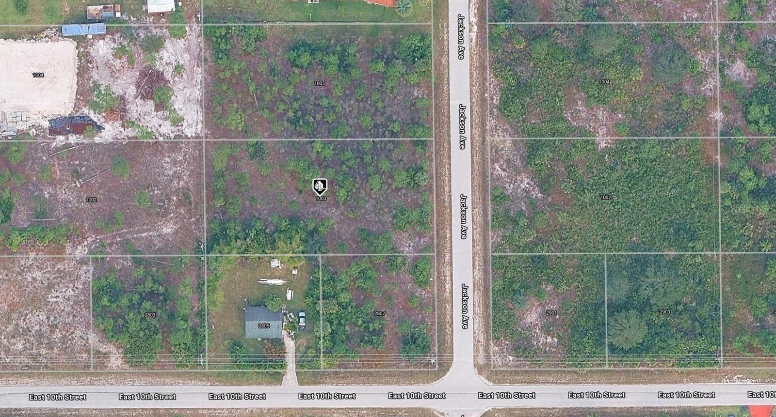 1003 JACKSON AVE Property Photo 1