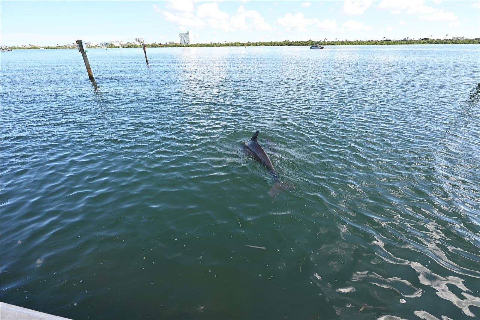 800 S Gulfview Blvd #508 Property Photo 23