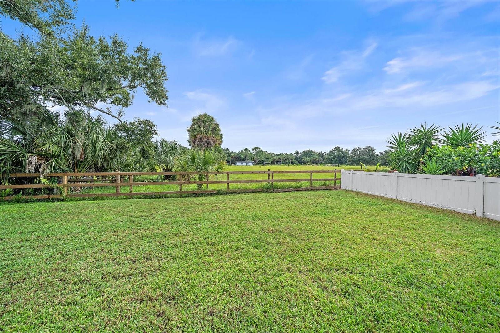 1033 Whimbrel Run Property Photo 24