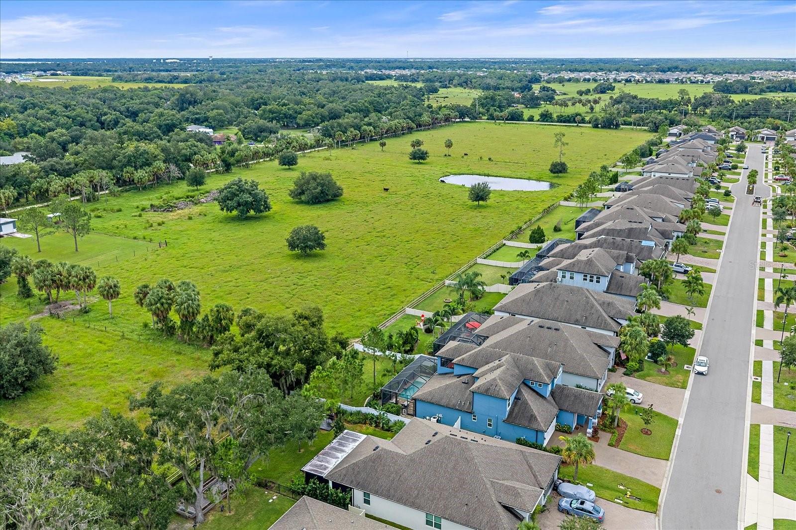 1033 Whimbrel Run Property Photo 49
