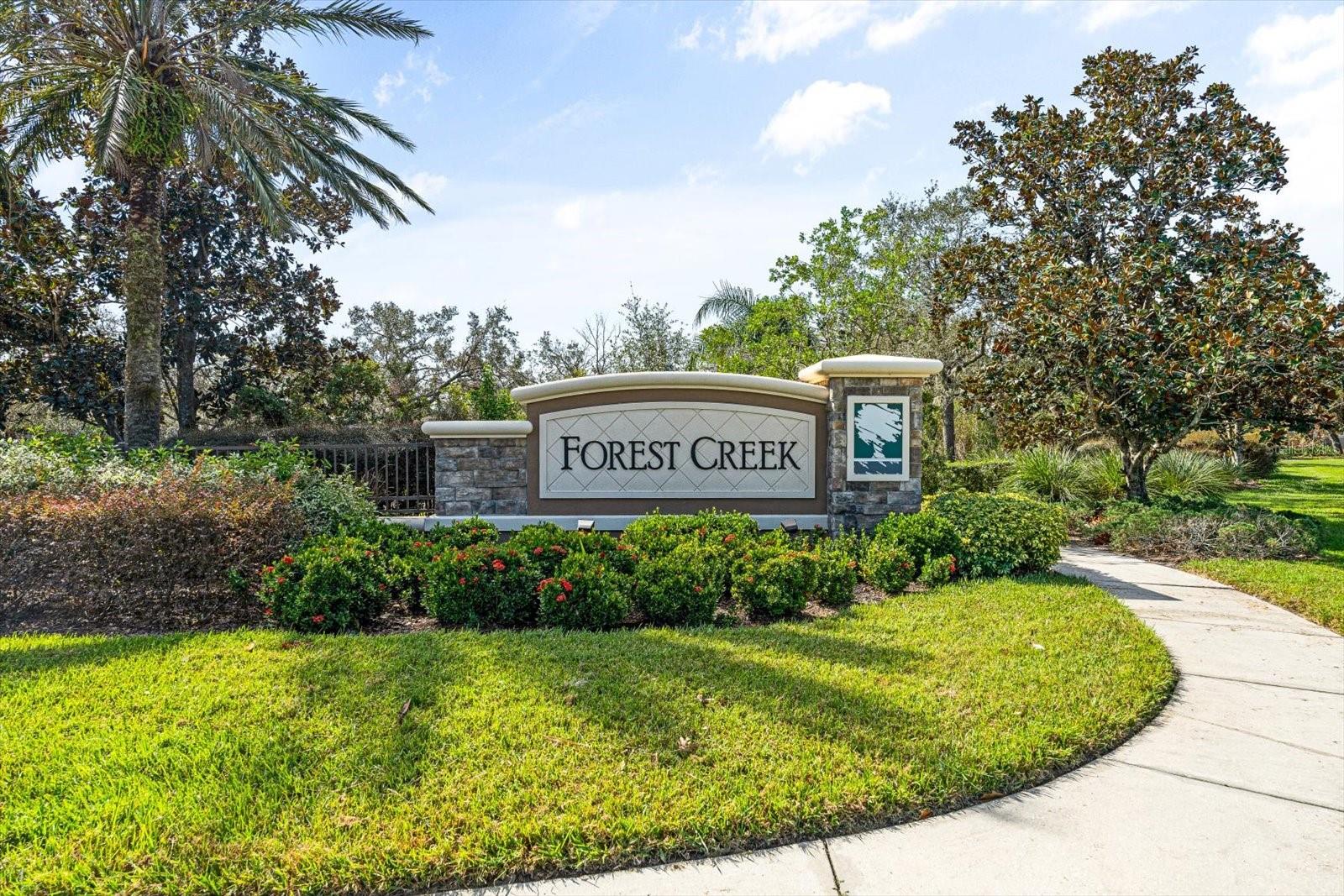4904 Forest Creek Trl Property Photo 3
