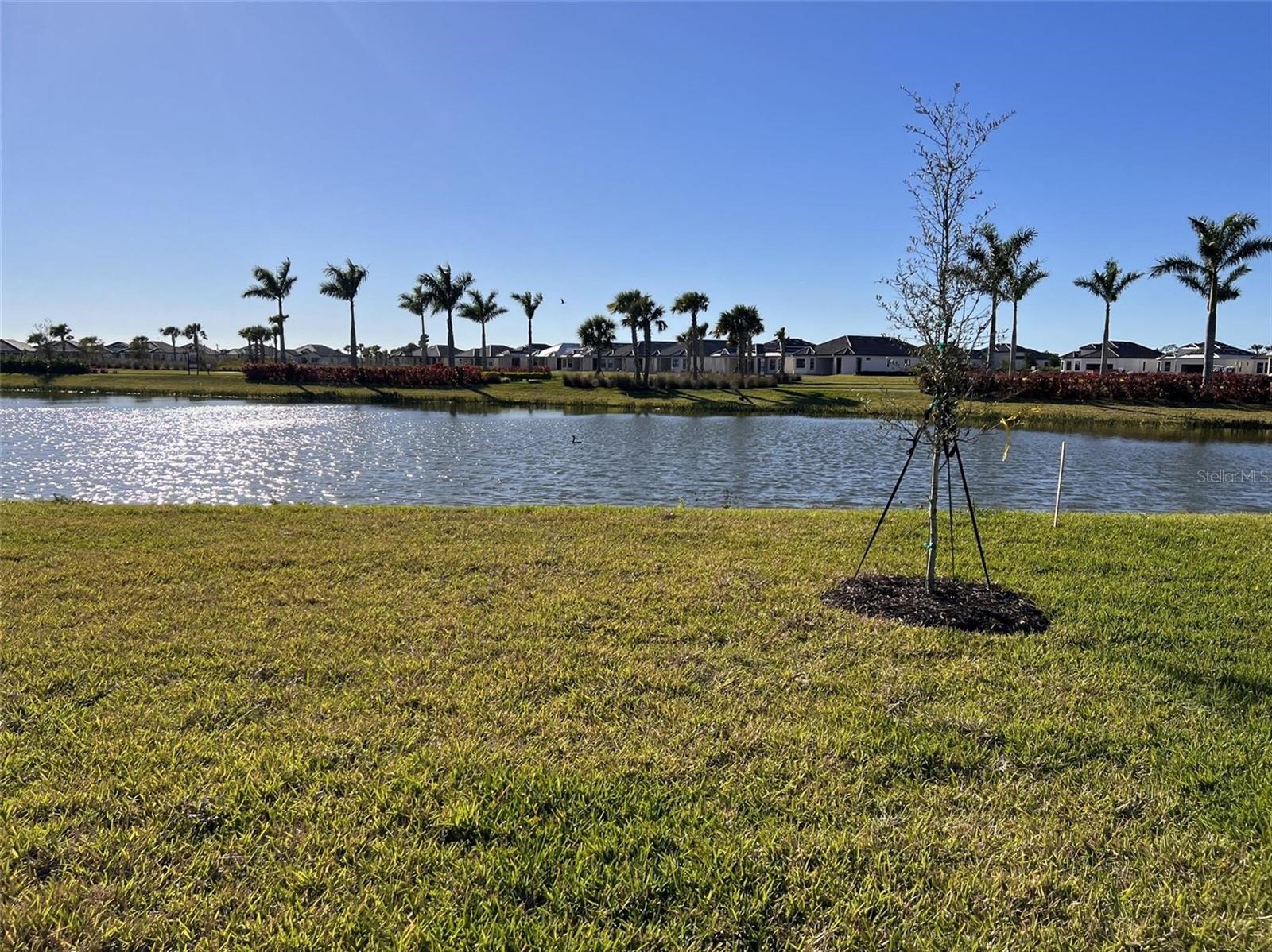 10125 Milky Way Cir Property Photo 21