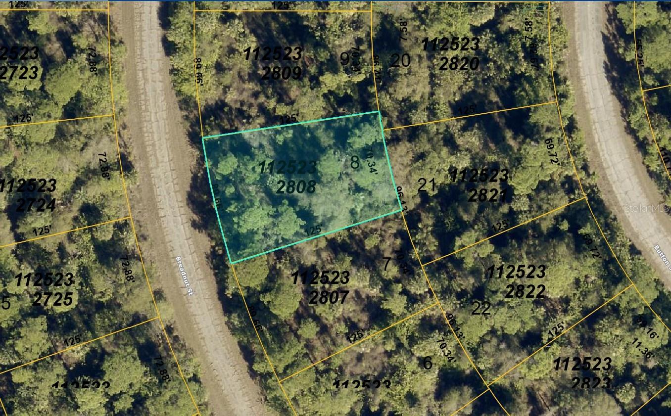 1125232808 Breadnut St Property Photo 1
