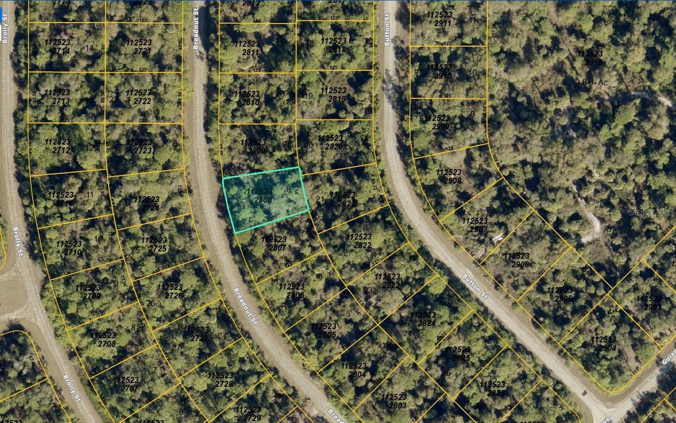 1125232808 Breadnut St Property Photo 2