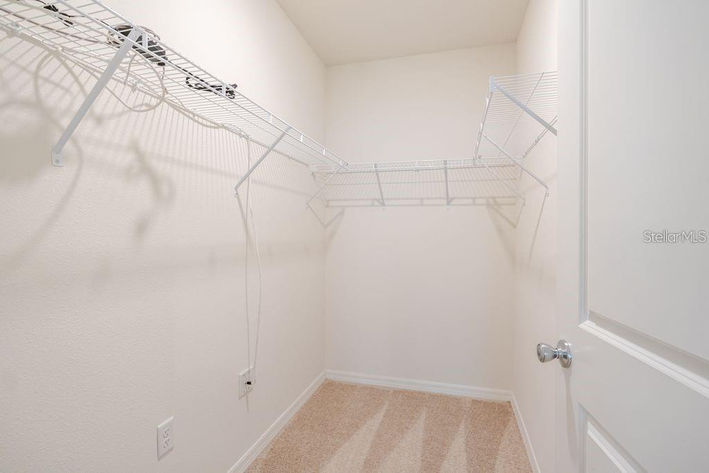 10945 Trailing Vine Dr Property Photo 20