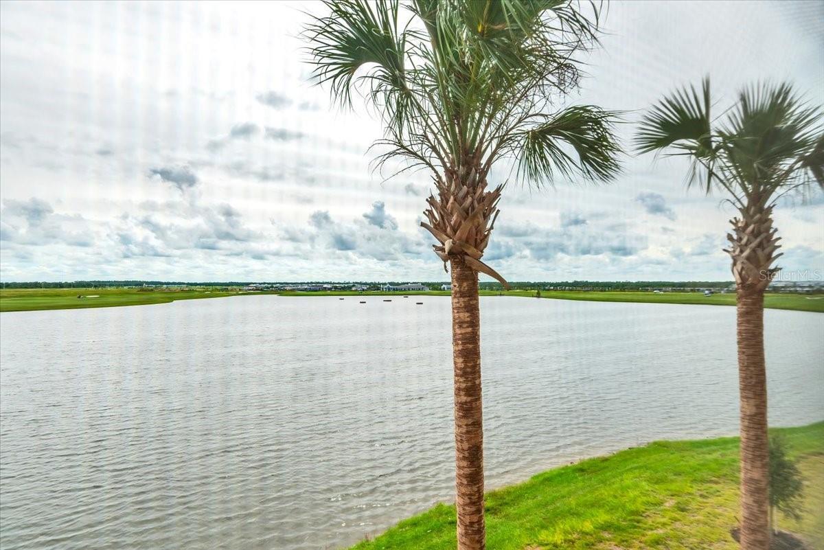 19116 Scallop Loop #306 Property Photo 43