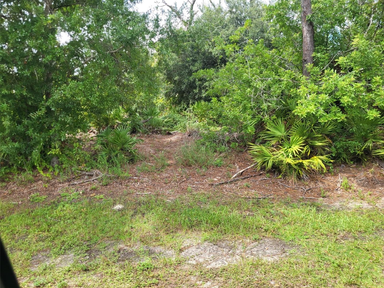 7429 Quaker St Property Photo 1