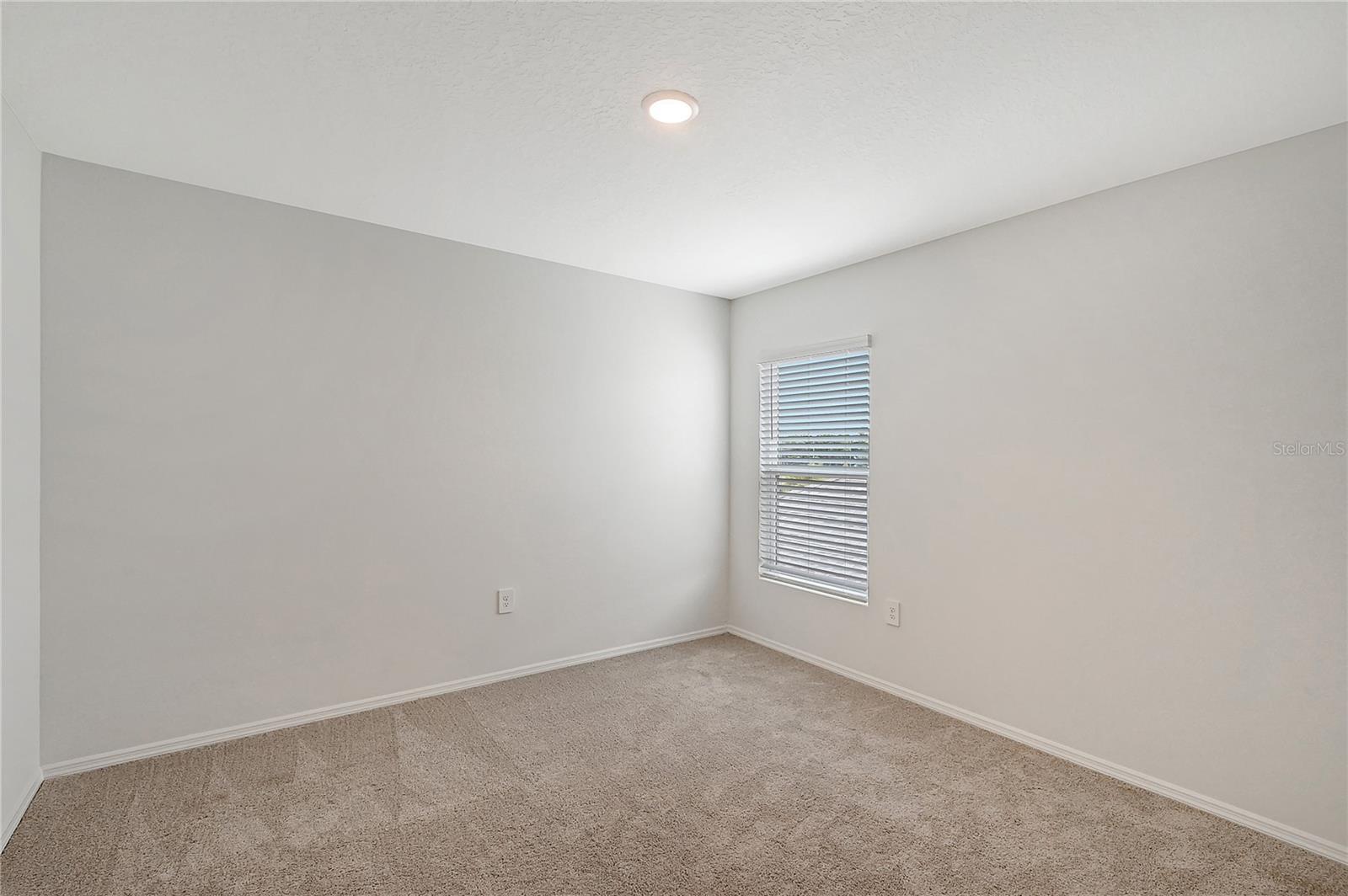 11410 Lake Louisa Ter Property Photo 15