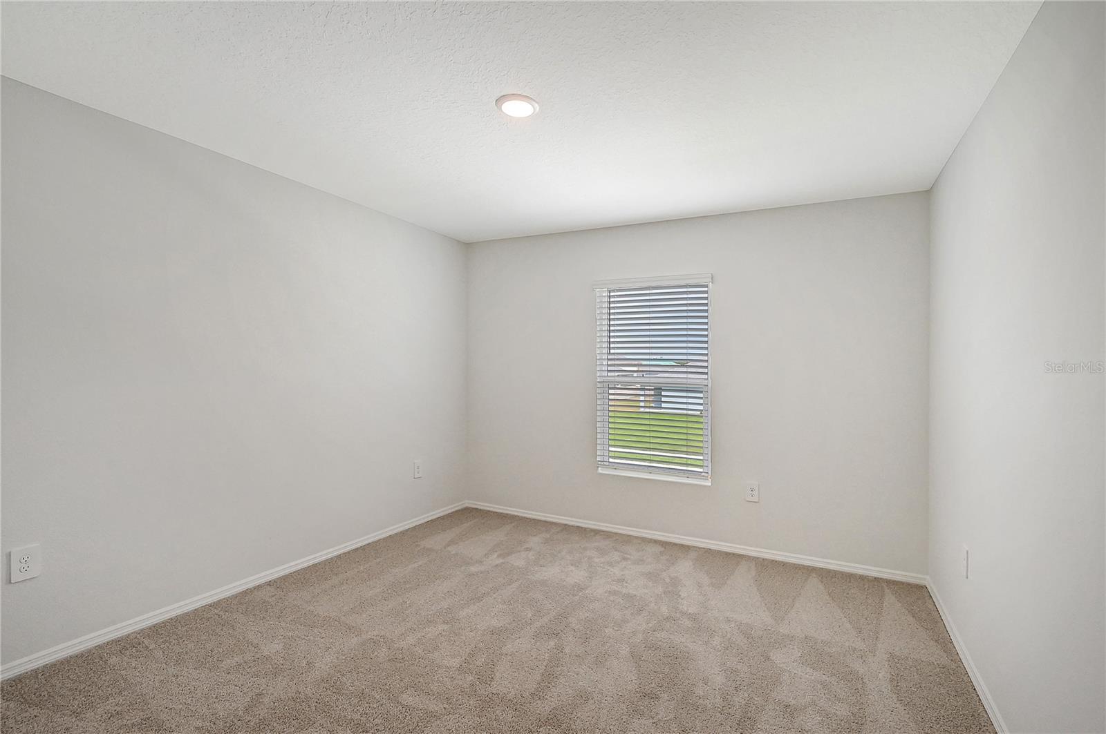 11410 Lake Louisa Ter Property Photo 16