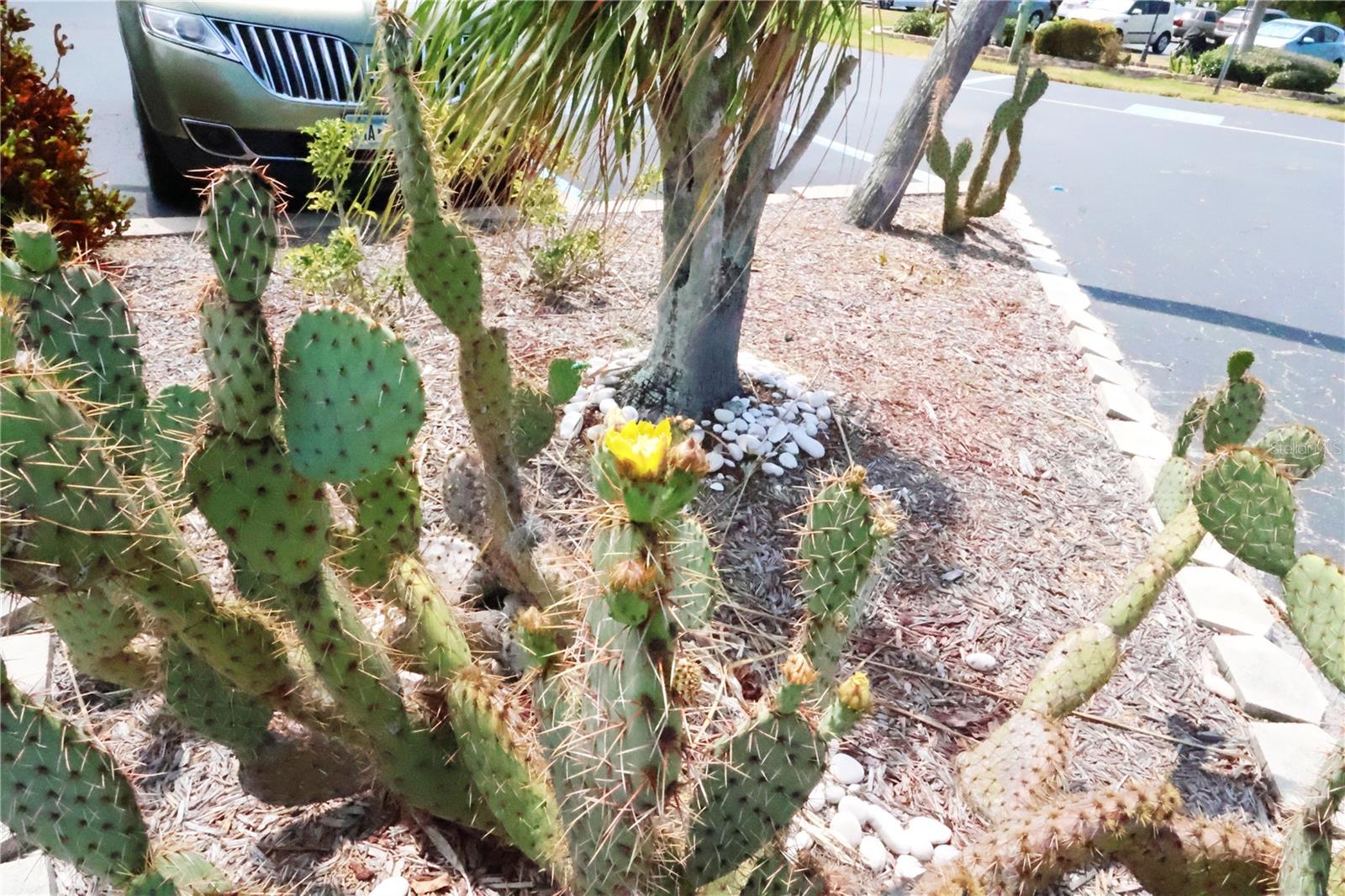 4206 Heron Way #b305 Property Photo 16