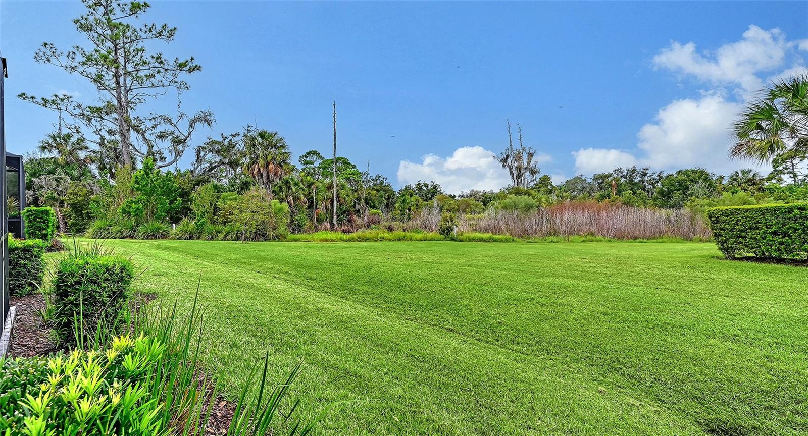 2984 Sky Blue Cv Property Photo 35