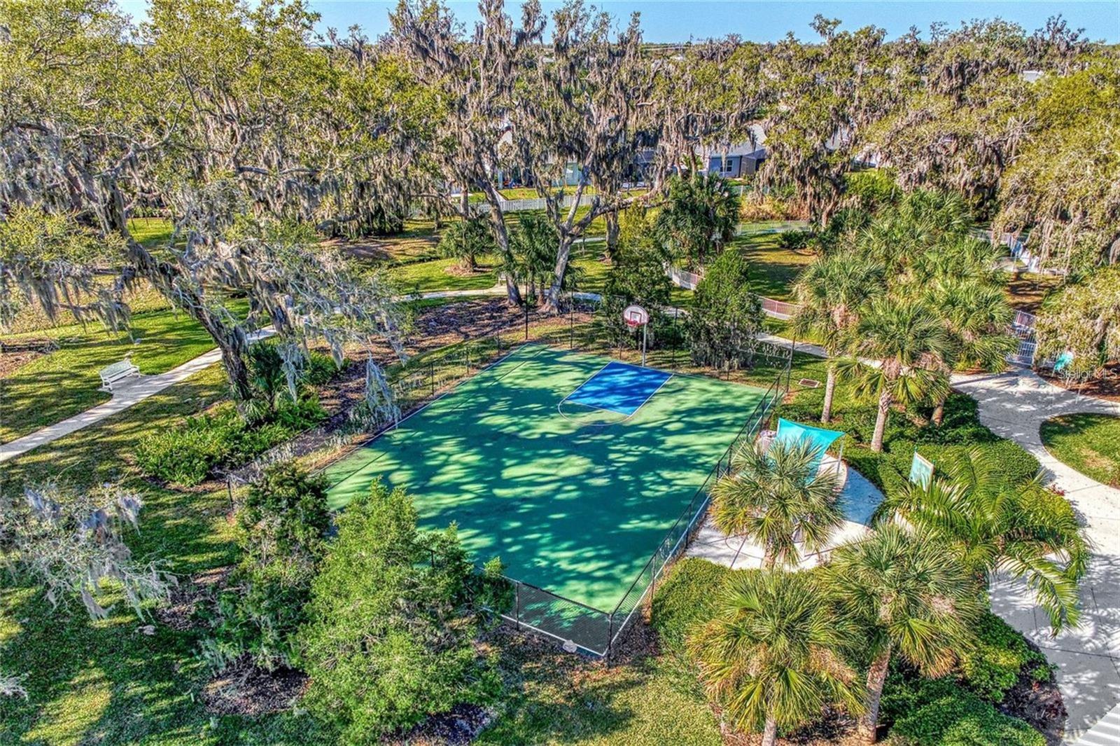 10934 Sand Pine Ln Property Photo 60