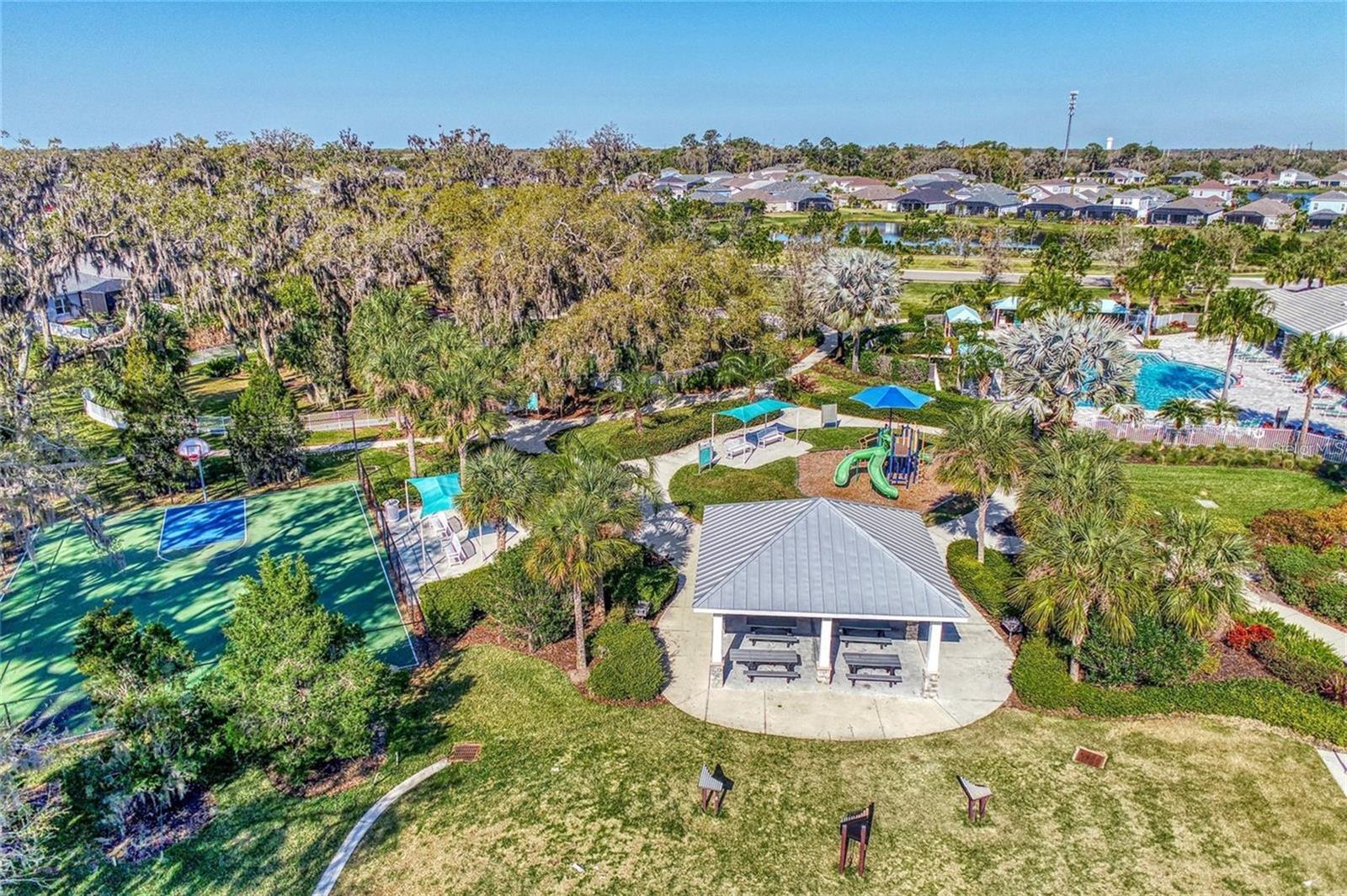 10934 Sand Pine Ln Property Photo 61
