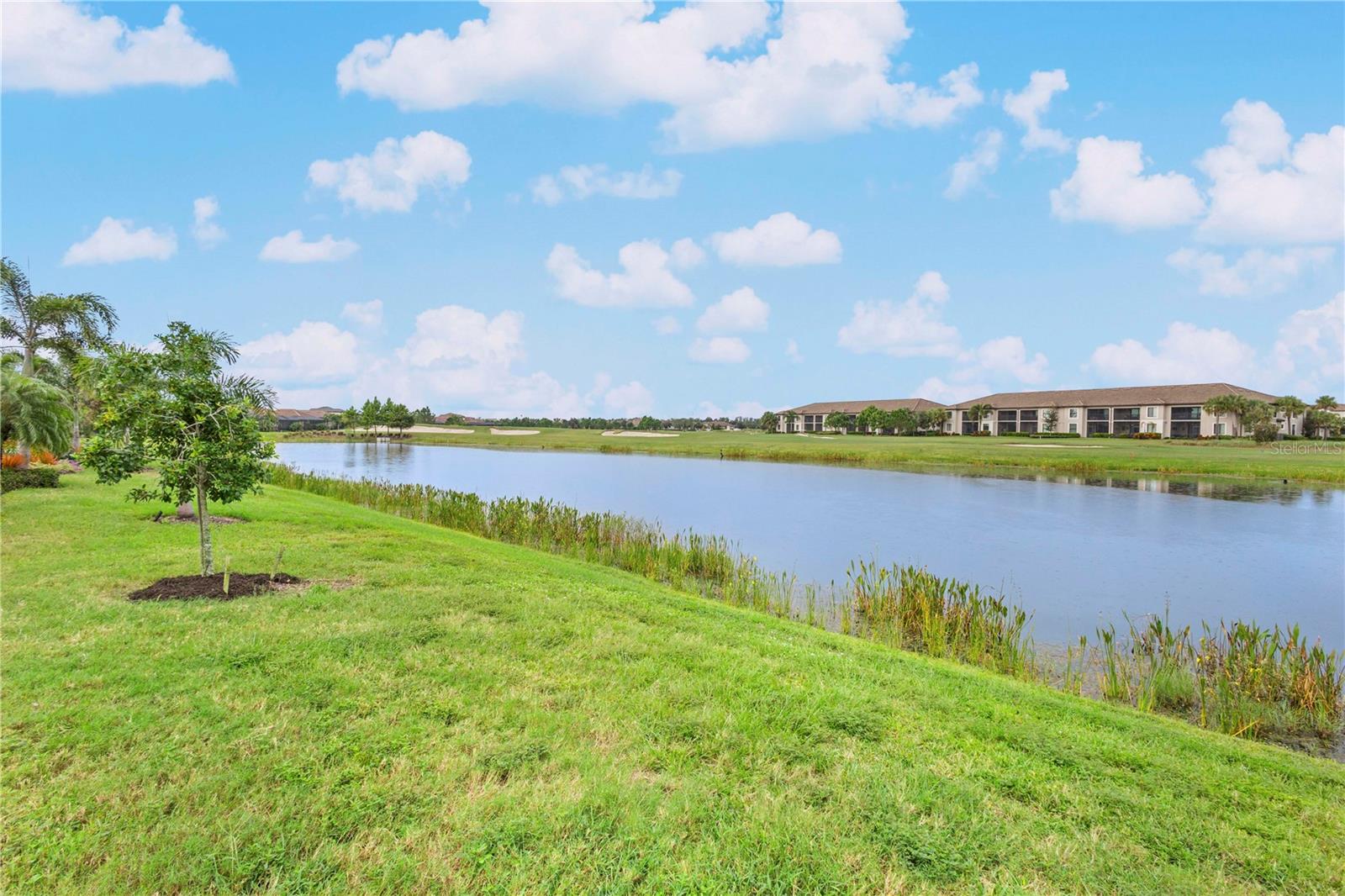5634 Cheech Gln Property Photo 33