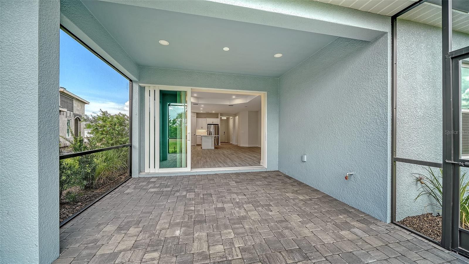 2115 Sylvester Palm Ln Property Photo 13