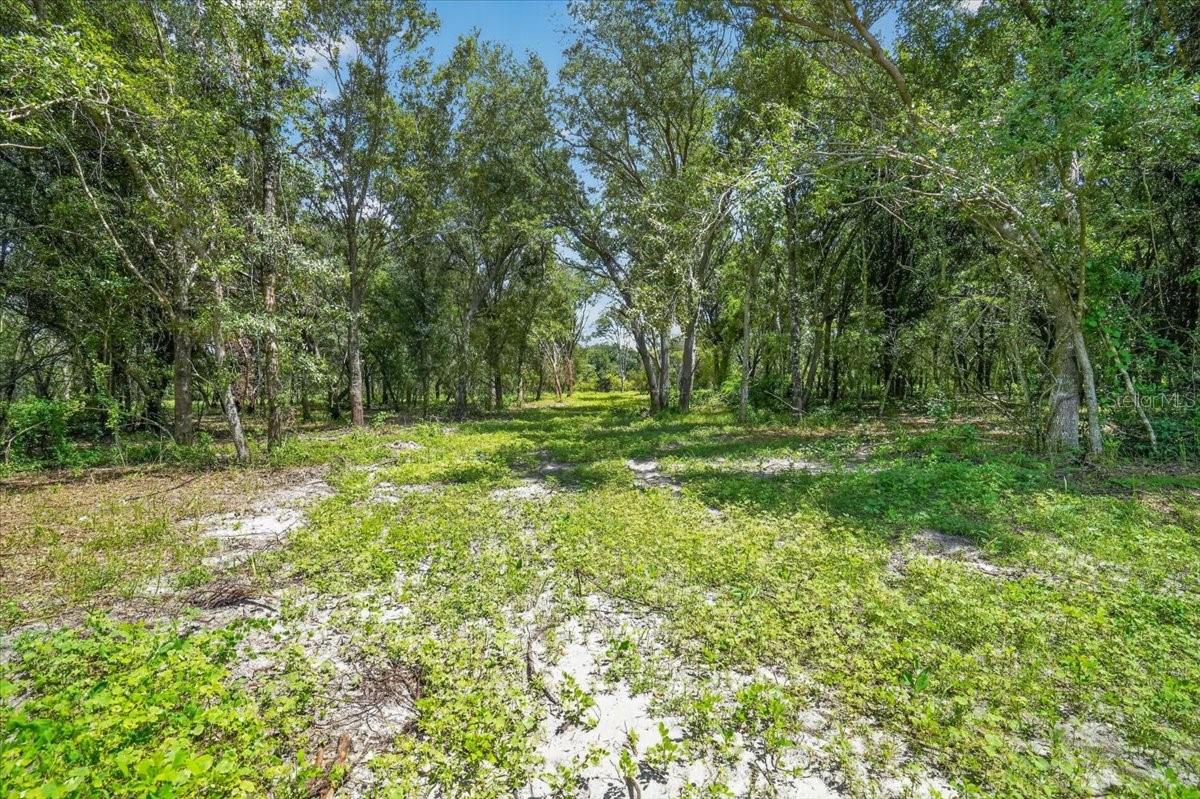 Verna Bethany Rd Property Photo 8