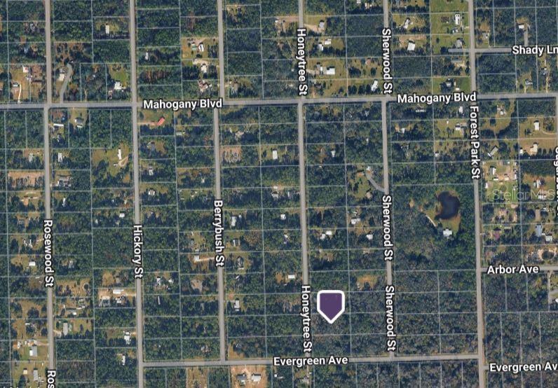 1823 Honeytree St Property Photo 2