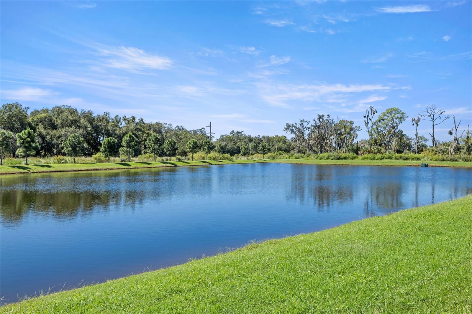 9961 Cross River Trl Property Photo 5