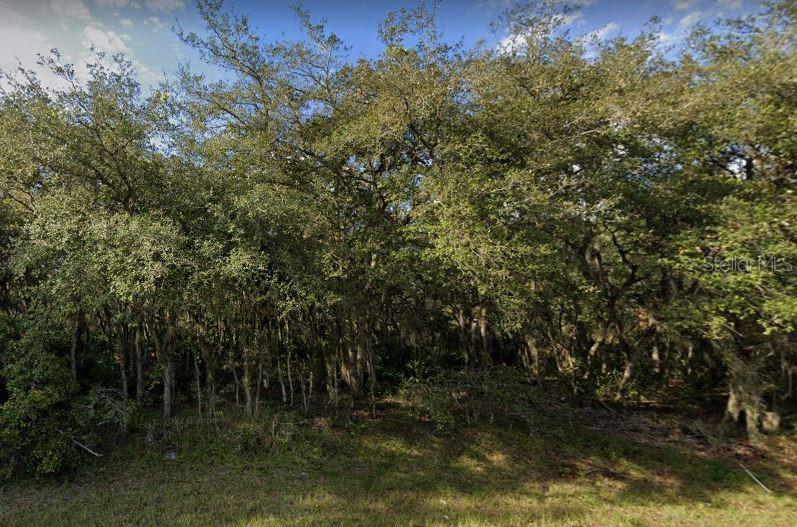 609 Marlin Way Property Photo 3