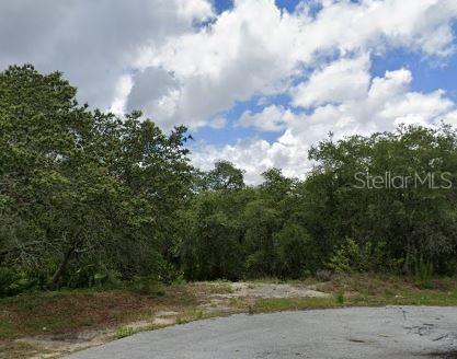 123 Warmouth Ln Property Photo 1