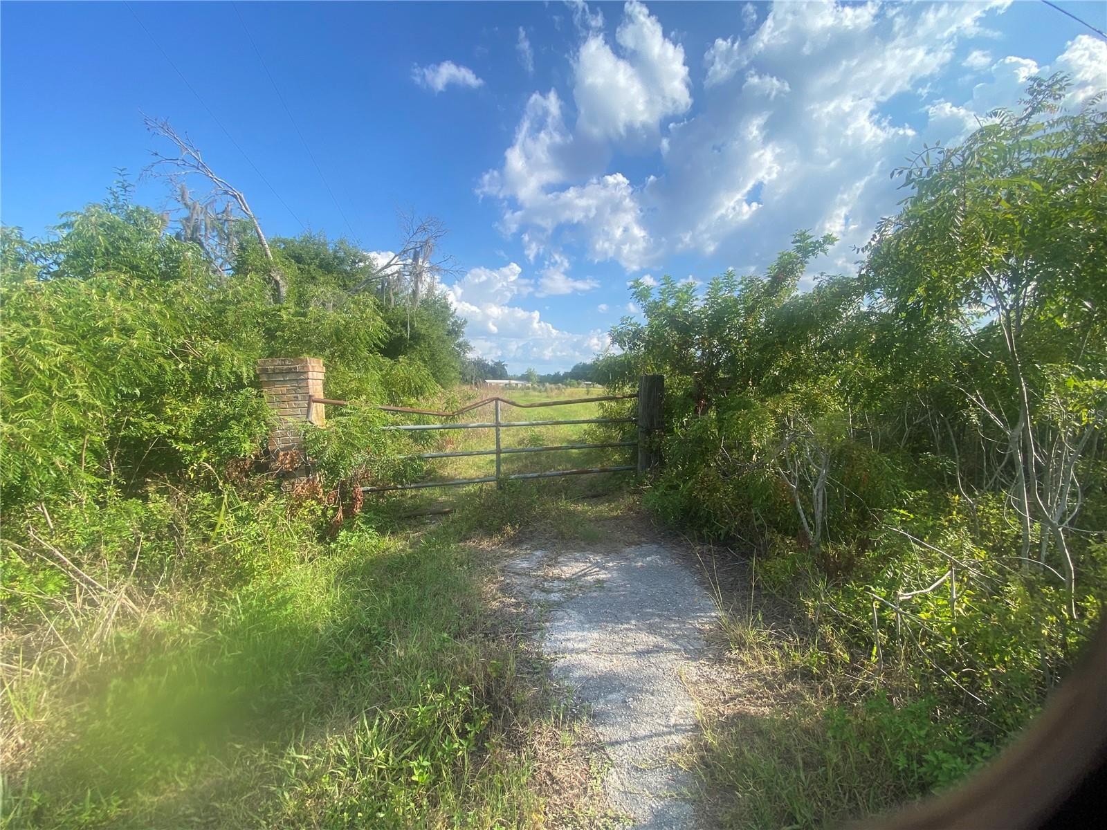 4210 Cardinal Ln Property Photo 5