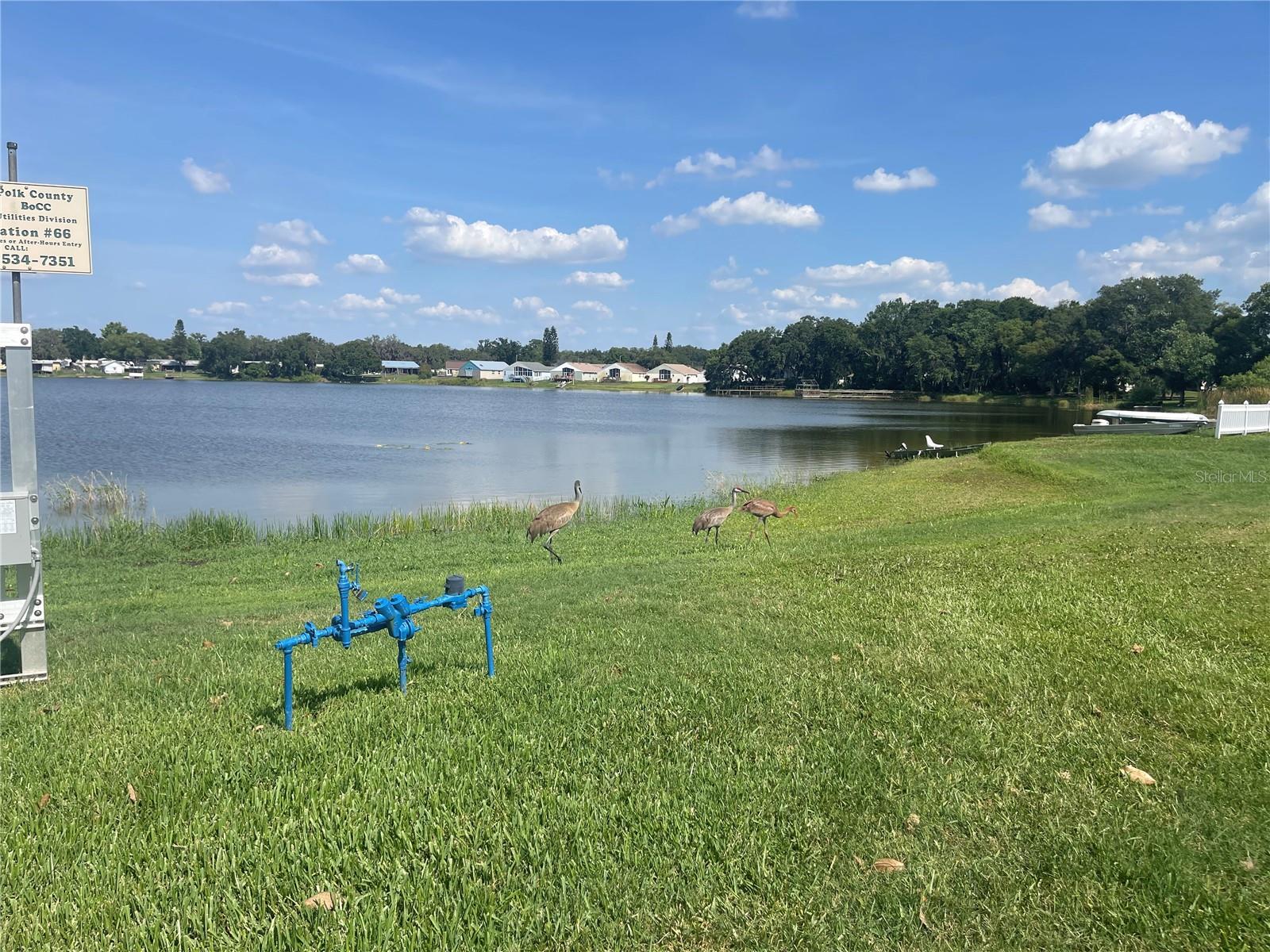 4179 Rolling Oaks Dr Property Photo 30