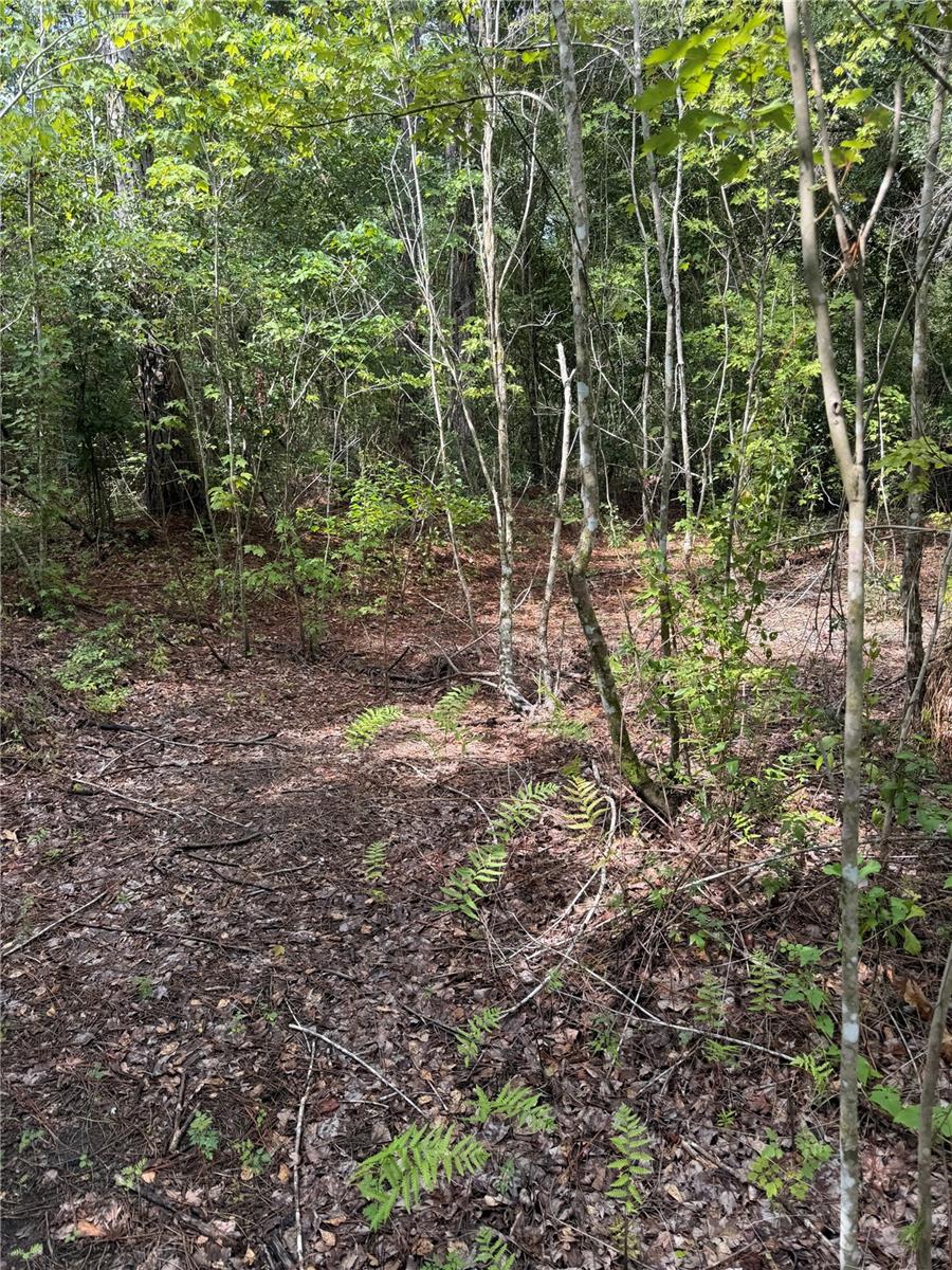 11441 Ko Dr Property Photo 23