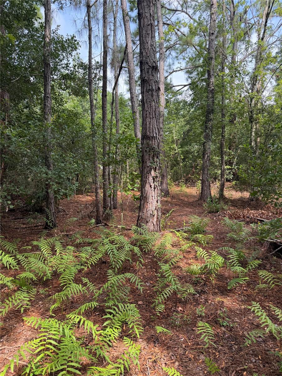 11441 Ko Dr Property Photo 25