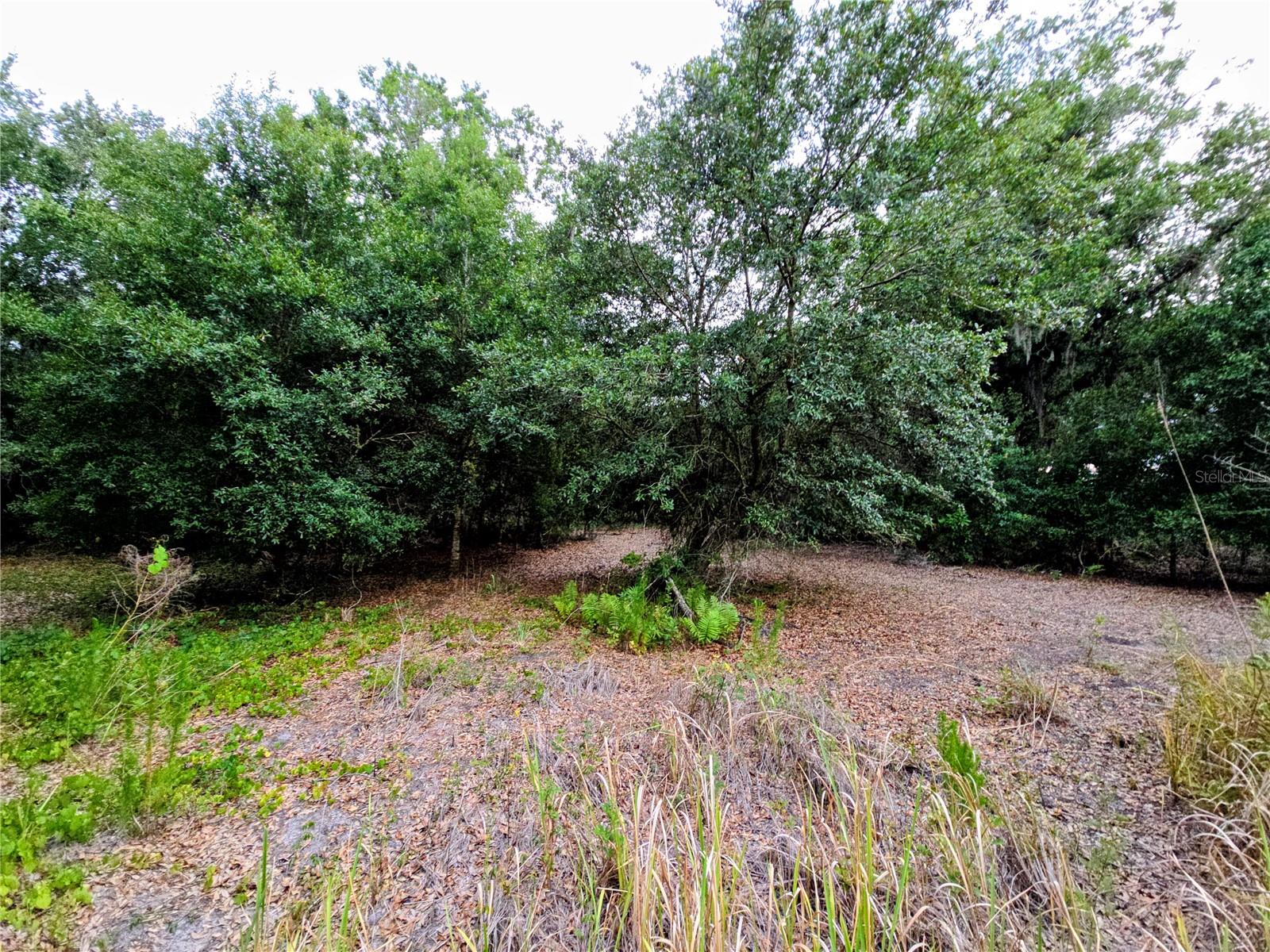 Avon-park Cutoff Rd Property Photo 2